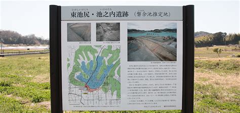 Image result for H2O2 Decomposition Rate