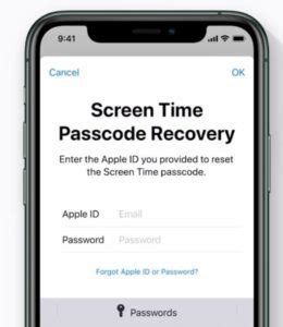 Image result for iPhone Passcode Timer Chart