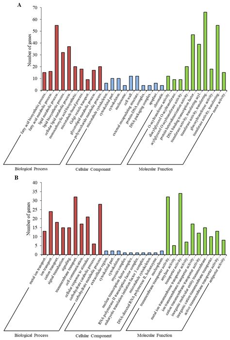 Starch and Sucrose Metabolism and Plant Hormone Signaling Pathways Play ...