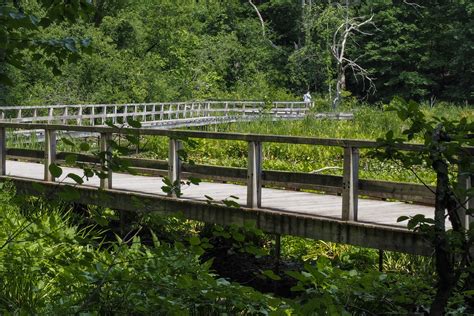 5 Iconic Boardwalks at Mass Audubon Wildlife Sanctuaries