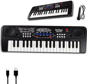 STAR VENTURE Microphone Portable Electronic Keyboards For Beginners ...