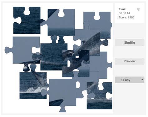 Online JIgsaw puzzle animals | Fin Whale – Olympiad tester