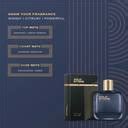 Buy Wild Stone Premium Long Lasting Perfume Eau de Parfum - 100 ml ...