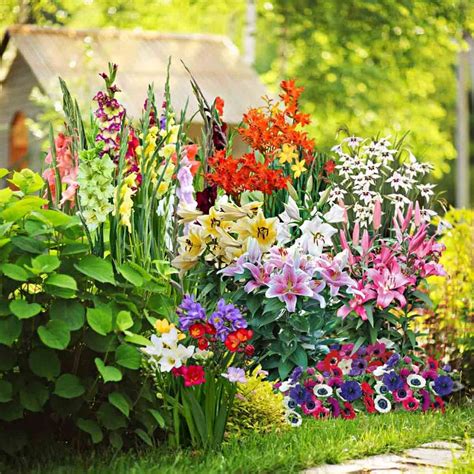 How To Store Flower Bulbs In The Summer at James Kornweibel blog