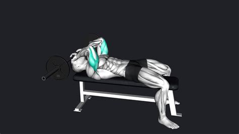 Lying Barbell Tricep Extension vs Seated Dips Machine