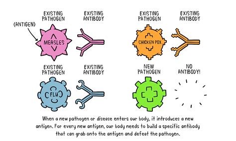 Antigens And Pathogens
