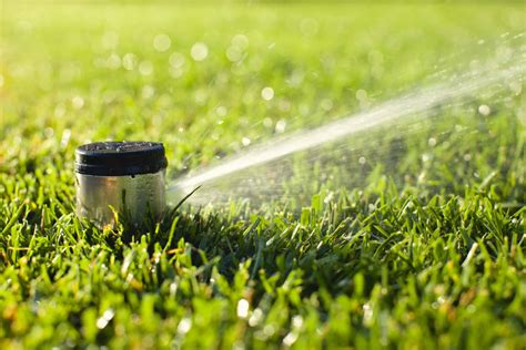 Lawn Irrigation Repair | Your Expert Solution