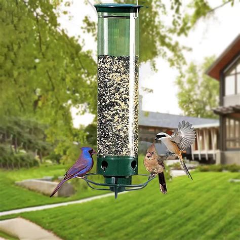 Squirrel Spinning Bird Feeder