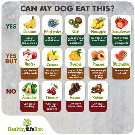 Printable List Of Fruits And Vegetables Dogs Can Eat
