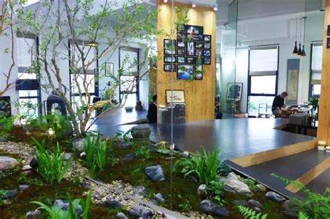 关于生态设计在办公空间中的重要性 - 深圳尚泰装饰