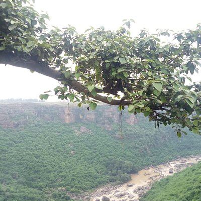 10 BEST Places to Visit in Rewa - UPDATED 2021 (with Photos & Reviews ...