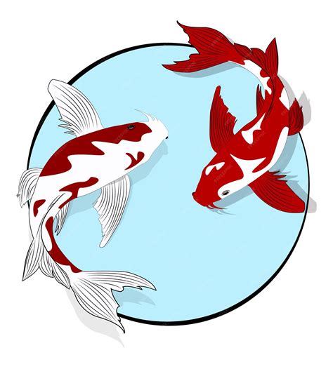 What Does A White Koi Fish Symbolize at Irene Troyer blog