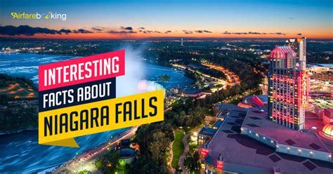 Image result for SpiceJet Baggage Tag