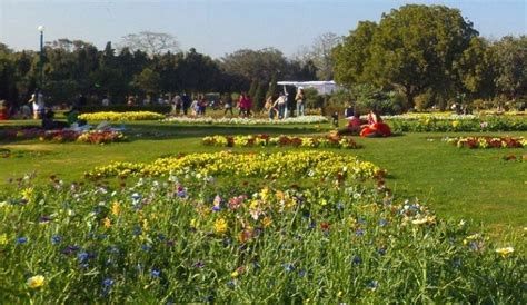Best Green Spots In Delhi | WhatsHot Delhi Ncr