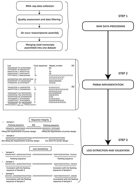 A Novel Software and Method for the Efficient Development of ...