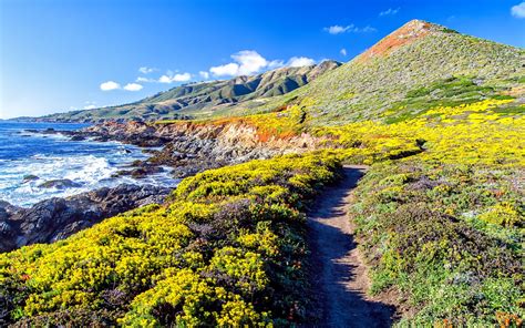 Coastal Rocks K Wallpaper - Photo #28311 - Free 3D Models | Free stock ...