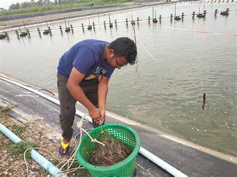 AIT Aquaculture | The Aquaculture program of Asian Institute of ...