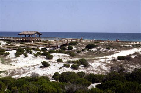 Perdido Key State Park in Pensacola | VISIT FLORIDA