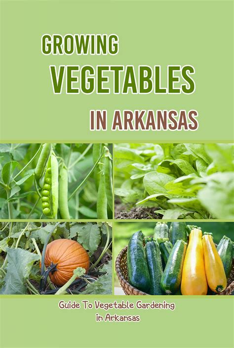 When To Plant Vegetables In Arkansas at Christopher Lewis blog