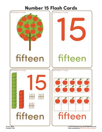 Number Fifteen Flash Cards | PrimaryLearning.org