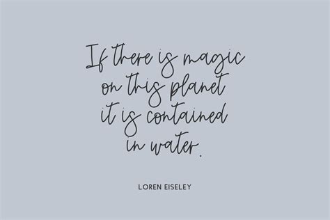 Image result for Calamity Script Roblo