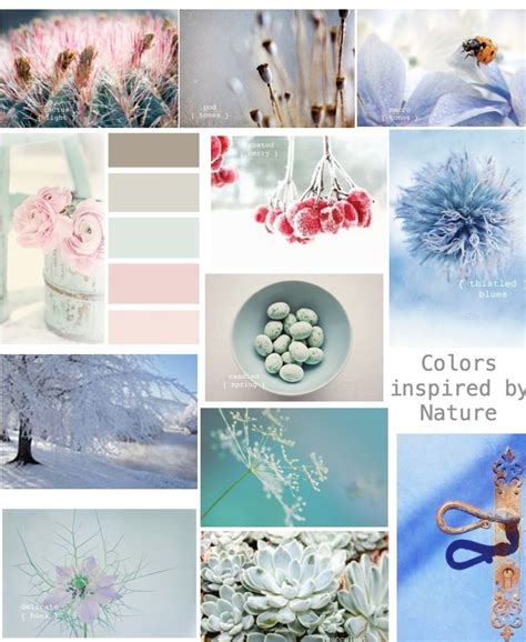 Nature Paper Color Set 的图像结果