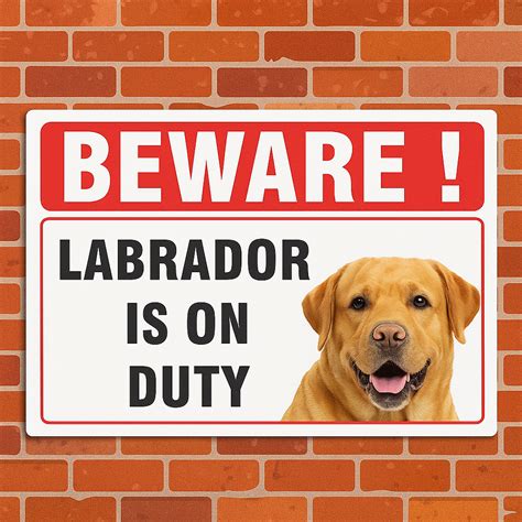 Beware of Dog Entry Sign – Rust-Free Outdoor Board – AngleLittle