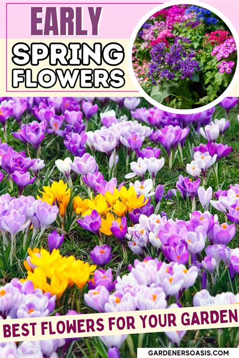 The Best Perennials, Bulbs And Shrubs For Early Spring Flowers