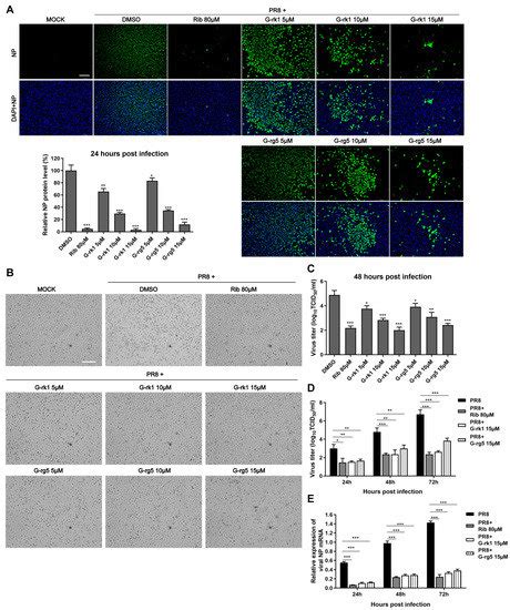 Antiviral Effect of Ginsenosides rk1 against Influenza a Virus ...
