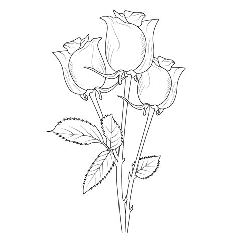 How To Draw Flowers In Pencil - 40df62e550c546708317a8a2c2775784 pencil ...