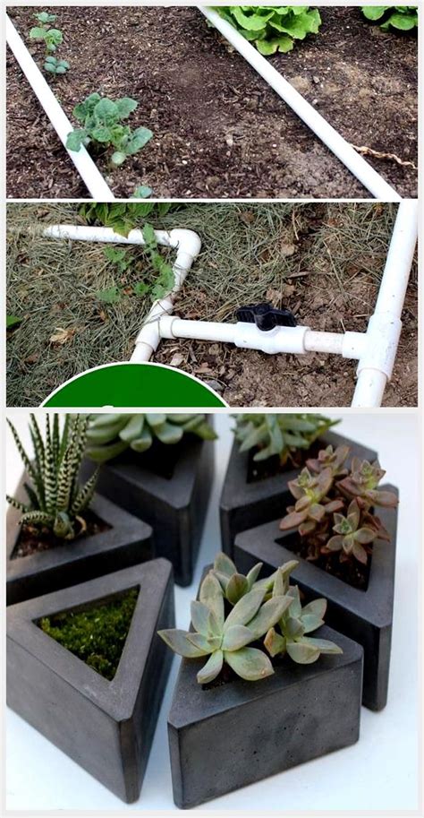 Homemade PVC Pipe Irrigation 的图像结果