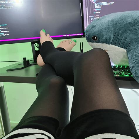 Image result for Programming Socks