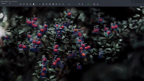 Deep Learning Training Image Labeling Process 的图像结果