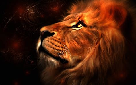 Lions wallpaper | 1920x1200 | #36670