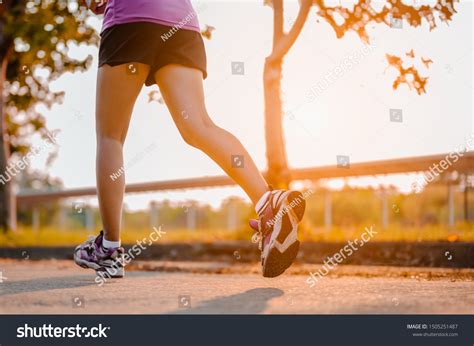 Light Exercise 的图像结果