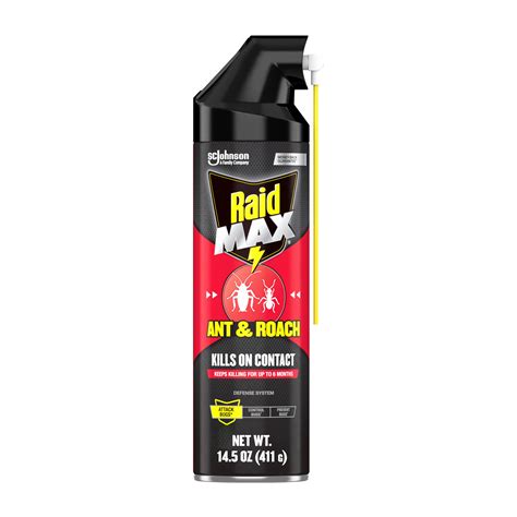 Raidmax Ant And Roach Spray 14 5 Oz Pack 1 | Desertcart INDIA
