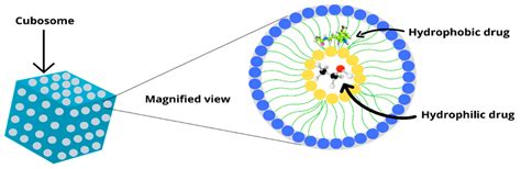 Cubosomes in Drug Delivery—A Comprehensive Review on Its Structural ...