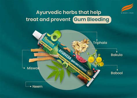 Understanding Bleeding Gums – Himalaya Wellness (India)