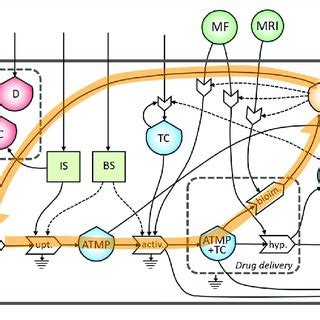 Information Loop 的图像结果