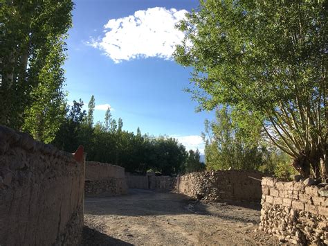 THE 10 BEST Restaurants in Leh - Updated January 2024 - Tripadvisor