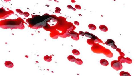 Eight-year-old girl passes out seeing kidnapper with gun; one arrested ...