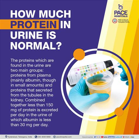 High Protein Foamy Urine at Ada Tawney blog