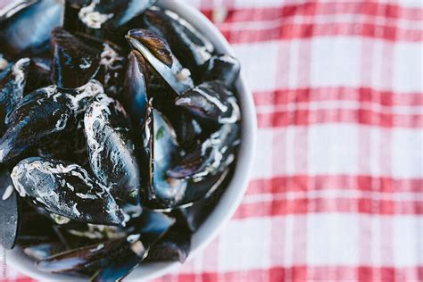 Image result for Shells Lil