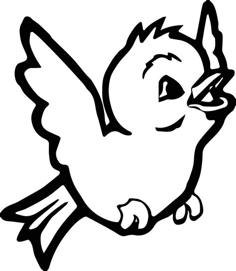 bird pictures to color