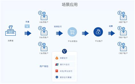 维金账户及支付清结算系统SaaS版