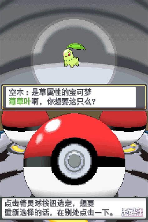 NDS 口袋妖怪 宝可梦 心金／魂银 心灵之金 灵魂之银 Pokémon HeartGold & SoulSilver - 午后少年