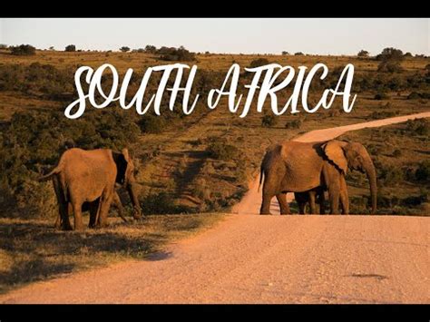 Welcome To South Africa Promotional Travel Agency Posters Set Stock ...