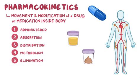 Drug Absorption Pharmacokinetics