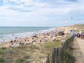 Image result for Weekend Project in HTML CSS JavaScript
