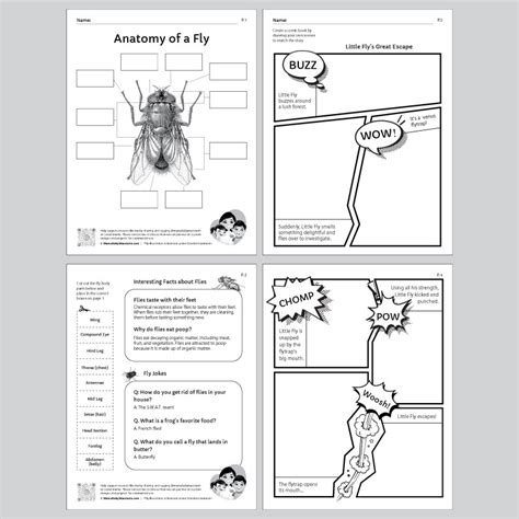 Bird Fly Worksheet 的图像结果